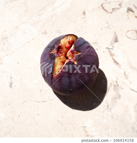 Fig or fig tree, or common fig tree, or Ficus carica is a subtropical deciduous plant of the genus Ficus of the Mulberry family. Ripe purple fig fruits on a light background. Healthy food. Fig or fig tree, or common fig tree, or Ficus carica is a subtropical deciduous plant of the genus Ficus of the Mulberry family. Ripe purple fig fruits on a light background. Healthy food. 106914158