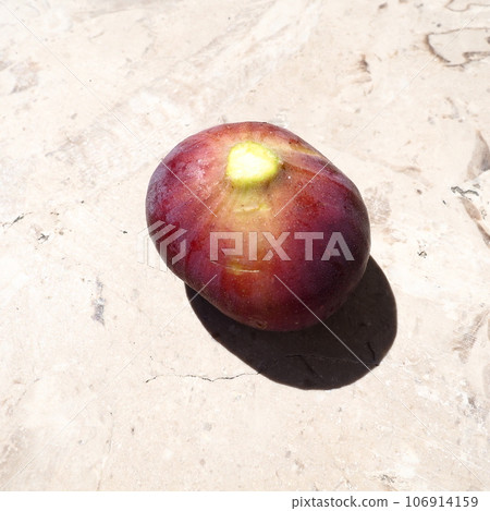 Fig or fig tree, or common fig tree, or Ficus carica is a subtropical deciduous plant of the genus Ficus of the Mulberry family. Ripe purple fig fruits on a light background. Healthy food. Fig or fig tree, or common fig tree, or Ficus carica is a subtropical deciduous plant of the genus Ficus of the Mulberry family. Ripe purple fig fruits on a light background. Healthy food. 106914159