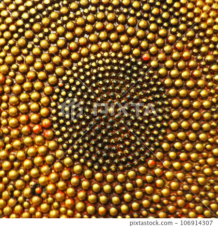 Pimples or spikes made of gold metal. Metal rounded bulges are located in a circle. Symbol of the sun or cycle. Unusual abstract background. The pimples are larger at the edges than in the middle Pimples or spikes made of gold metal. Metal rounded bulges are located in a circle. Symbol of the sun or cycle. Unusual abstract background. The pimples are larger at the edges than in the middle 106914307