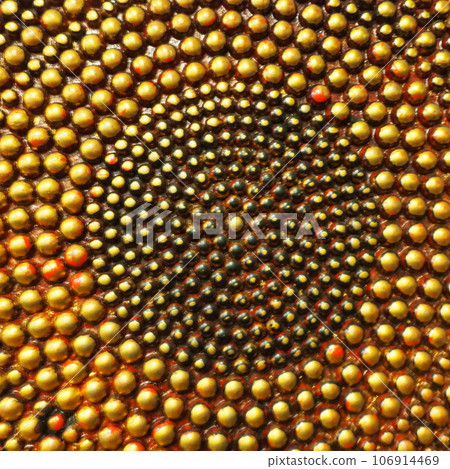 Pimples or spikes made of gold metal. Metal rounded bulges are located in a circle. Symbol of the sun or cycle. Unusual abstract background. The pimples are larger at the edges than in the middle Pimples or spikes made of gold metal. Metal rounded bulges are located in a circle. Symbol of the sun or cycle. Unusual abstract background. The pimples are larger at the edges than in the middle 106914469
