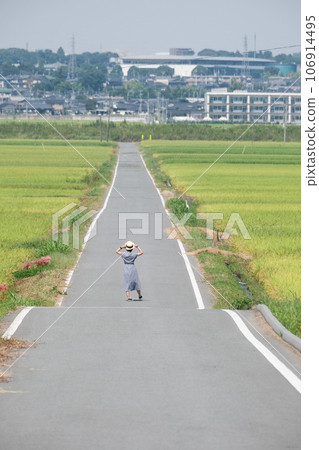 一個女人走在稻田小路上 一個女人走在稻田小路上 106914495