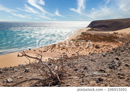View over blurred wide bathing bay in background on Canary Islands with dry wooden root in foreground View over blurred wide bathing bay in background on Canary Islands with dry wooden root in foreground 106915091