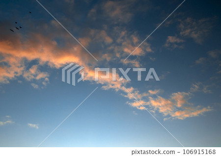 pink clouds in the morning, beautiful sky, Fuerteventura, with flying birds top left pink clouds in the morning, beautiful sky, Fuerteventura, with flying birds top left 106915168