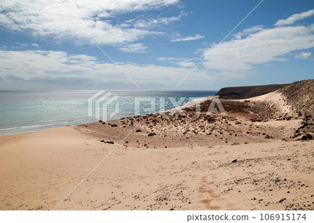 Beach of the canaray Island Fuerteventura, panorama Beach of the canaray Island Fuerteventura, panorama 106915174
