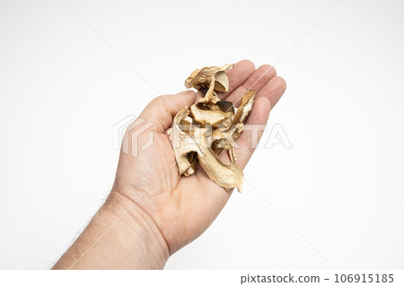 dried mushrooms dried mushrooms 106915185