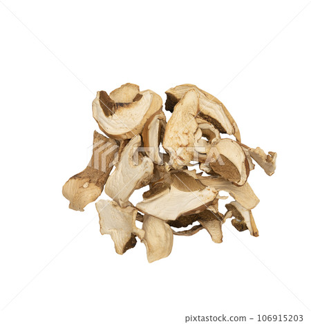 dried mushrooms dried mushrooms 106915203