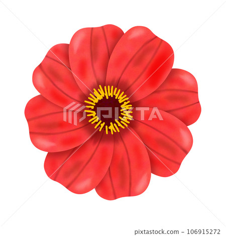 abstract flower with frame isolated on white 106915272