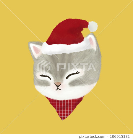 cute cat in a Santa costume 106915381