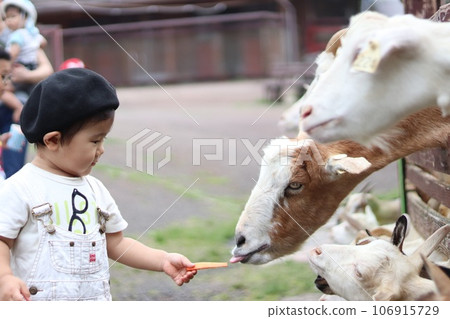 A child feeding a goat A child feeding a goat 106915729