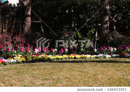 Garden of Zoshigaya Old Missionary House Garden of Zoshigaya Old Missionary House 106915951
