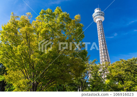 [Kanagawa Prefecture] Yokohama Yamashita Park/Marine Tower scenery 106916023