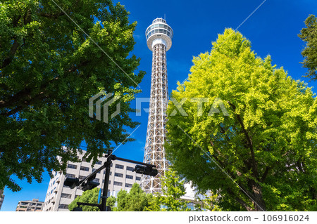 [Kanagawa Prefecture] Yokohama Yamashita Park/Marine Tower scenery 106916024