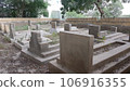 Blank gravestone with other graves and green neem trees in background 106916355