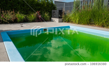 Green water in a home pool in the backyard of a house. Bloomed due to incorrect dosage of chemicals 106916380