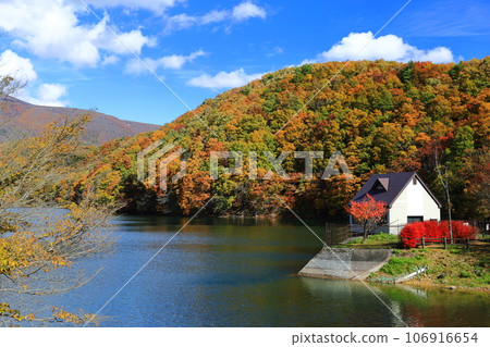 Autumn leaves and lake 106916654