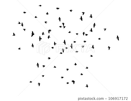 Flying birds silhouette flock. Vector illustration Flying birds silhouette flock. Vector illustration 106917172