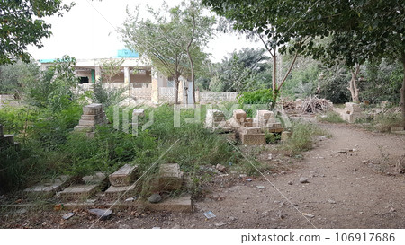 Blank gravestone with other graves and green neem trees in background 106917686