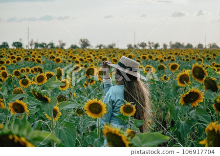 Woman in Sunflower Field: Happy girl in a straw hat and blue dress stands in a vast field of sunflowers at sunset. Summer time. 106917704