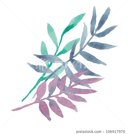 Hand drawn watercolor decorative eucalyptus or palm branches with colorful leaves: purple, mint, navy blue. Good for prints design, wedding invitations, greeting cards, posters, packing, textile Hand drawn watercolor decorative eucalyptus or palm branches with colorful leaves: purple, mint, navy blue. Good for prints design, wedding invitations, greeting cards, posters, packing, textile 106917978