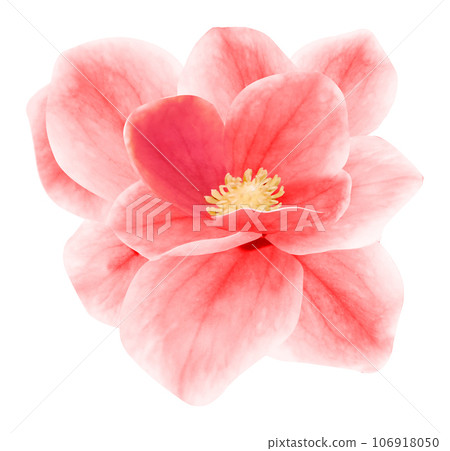 Beautiful image isolated on white background Beautiful image isolated on white background 106918050