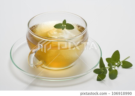 冰涼茶（薄荷） 106918990