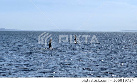 Children who chat in the sea Children who chat in the sea 106919734