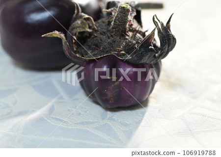 家庭花園裡種植的奇怪而可愛的茄子 106919788