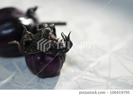 Strange and cute eggplants grown in a home garden Strange and cute eggplants grown in a home garden 106919795