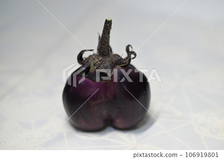 Strange and cute eggplants grown in a home garden Strange and cute eggplants grown in a home garden 106919801