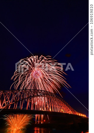 Fireworks shining in the night sky Fireworks shining in the night sky 106919810