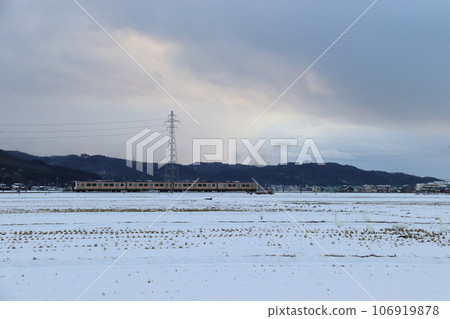 Winter in Echigo: Swans that flew into the countryside in the Honai district of Sanjo City Winter in Echigo: Swans that flew into the countryside in the Honai district of Sanjo City 106919878