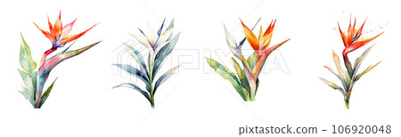 Watercolor tropical flowers strelitzia set. Generative AI 106920048