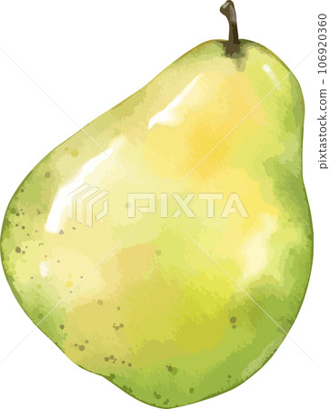 pear fruit   watercolor illustration isolated element 106920360