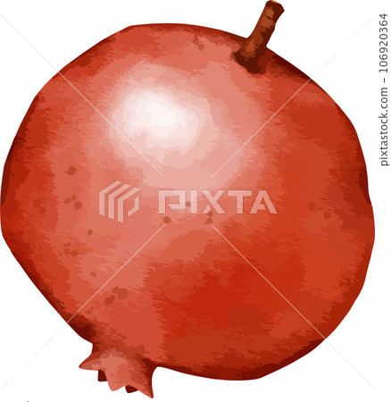 pomegrenate fruit watercolor illustration isolated element pomegrenate fruit watercolor illustration isolated element 106920364