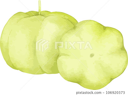star gooseberry fruit watercolor illustration isolated element star gooseberry fruit watercolor illustration isolated element 106920373