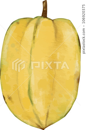 starfruit fruit   watercolor illustration isolated element 106920375