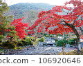 Autumn leaves and mountain scenery 106920646