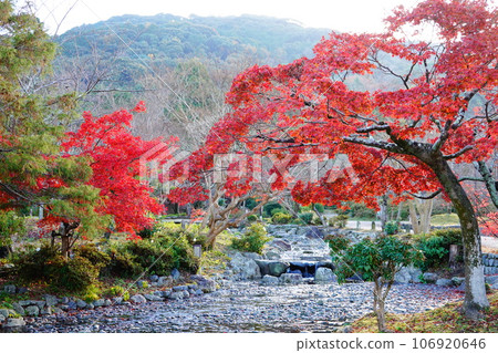 Autumn leaves and mountain scenery Autumn leaves and mountain scenery 106920646