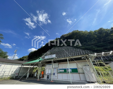 西武鐵道秩父線蘆久保站、路之站花樹公園蘆久保附近 106920809