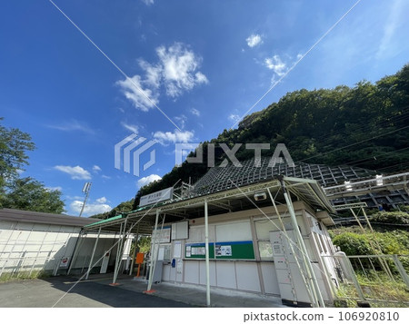 西武鐵道秩父線蘆久保站、路之站花樹公園蘆久保附近 106920810