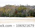 Winter snow field, local scenery 106921679