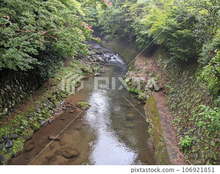 美麗的河景 美麗的河景 106921851