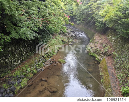 美麗的河景 106921854
