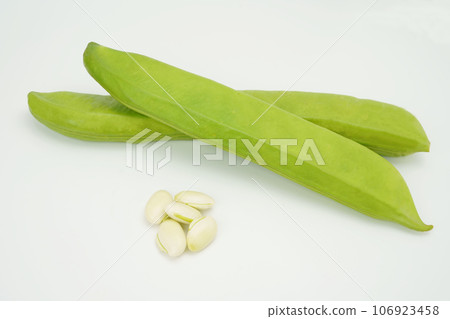 娜塔豆 娜塔豆 106923458