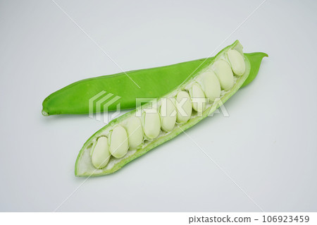 Nata bean Nata bean 106923459