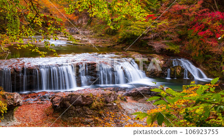 Asabu Valley in Autumn: Fudo Falls 106923755