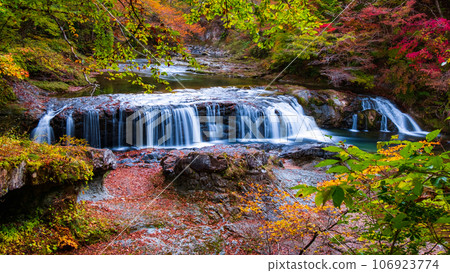 Asabu Valley in Autumn: Fudo Falls Asabu Valley in Autumn: Fudo Falls 106923774