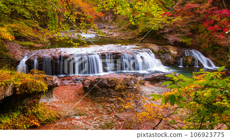 Asabu Valley in Autumn: Fudo Falls Asabu Valley in Autumn: Fudo Falls 106923775