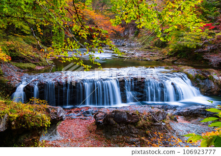 Asabu Valley in Autumn: Fudo Falls Asabu Valley in Autumn: Fudo Falls 106923777