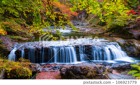 Asabu Valley in Autumn: Fudo Falls Asabu Valley in Autumn: Fudo Falls 106923779